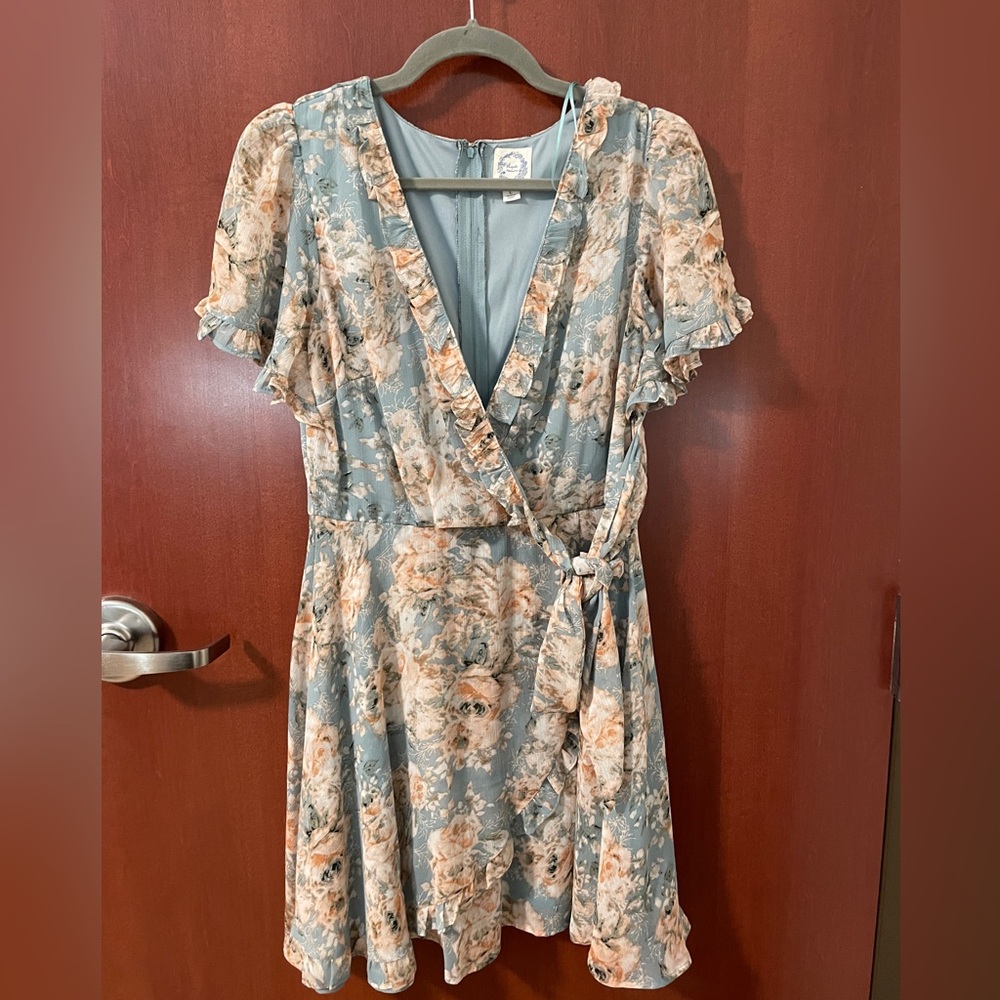 Francesca’s blue floral dress